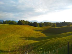 Itinerario 5: Santa Maria della Vittoria, Presa 16, Capitello dei Lovi, Buoro di Ciano, Buoro Vecio, Presa 8, Valle Dei Morti, Monumento G.Pennella, Stradon del Bosco, Via Murata, Dorsale