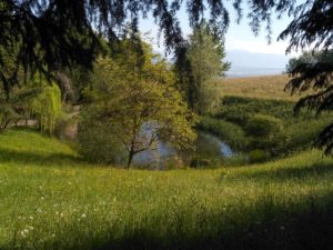 Itinerario 25: Sentiero Enrico Romanazzi, itinerario della biodiversità
