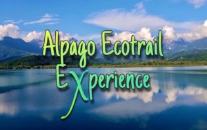 Le classiche: Alpago Ecotrail Experience