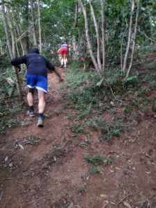 Itinerario 32 – Montello, Mini Trail di San Martino in 5 percorsi brevi