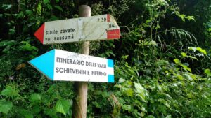Itinerario 33: Valle di Schievenin- Alpenplus Explorer
