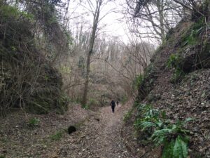 Itinerario 43 – Mini trail di Selva del Montello. DH Motocross