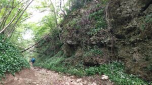 Itinerario 105 – La Valle del Bo di Gobbo e altri segmenti