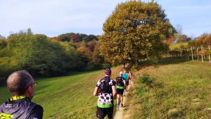 Itinerario 37 : Gran Trail del Montello