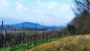 Itinerio 59 : Dal sacro al pro….secco