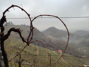 Itinerario 58 – Soligo, Col Maor, Collagù e San Gallo