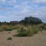 Itinerario n.68: Valle Vecchia a Brussa un percorso tra casoni e laguna.