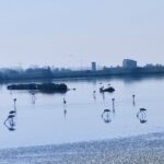 Itinerario n. 70 – Anello delle Valli di Comacchio