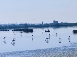 Itinerario n. 70 – Anello delle Valli di Comacchio