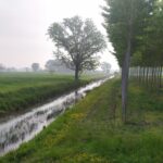Itinerario n.71 : L’ anello delle Risorgive del Sile