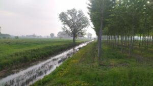 Itinerario n.71 : L’ anello delle Risorgive del Sile