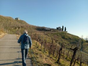 Itinerario n.80 : Sentiero delle Vedette