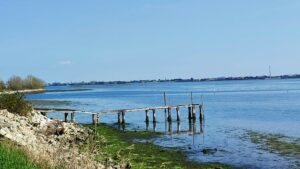 Itinerario n. 77 – Sant’Erasmo, l’orto di Venezia