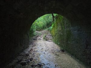 Itinerario n.84: Anello Falzè, Sant’Anna, Collalto