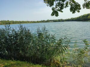 Itinerario n. 81 – Nuovo parco di Paese